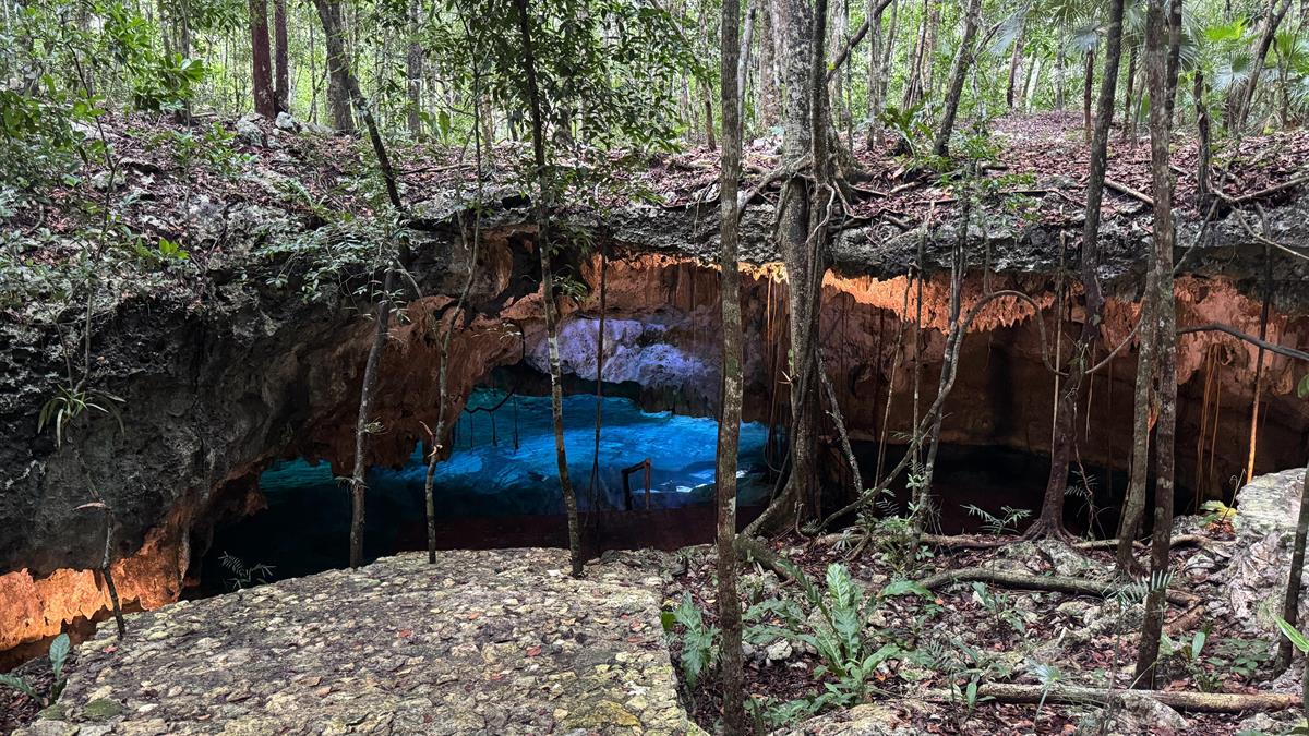 Cenote Madera — Selvadentro Tulum