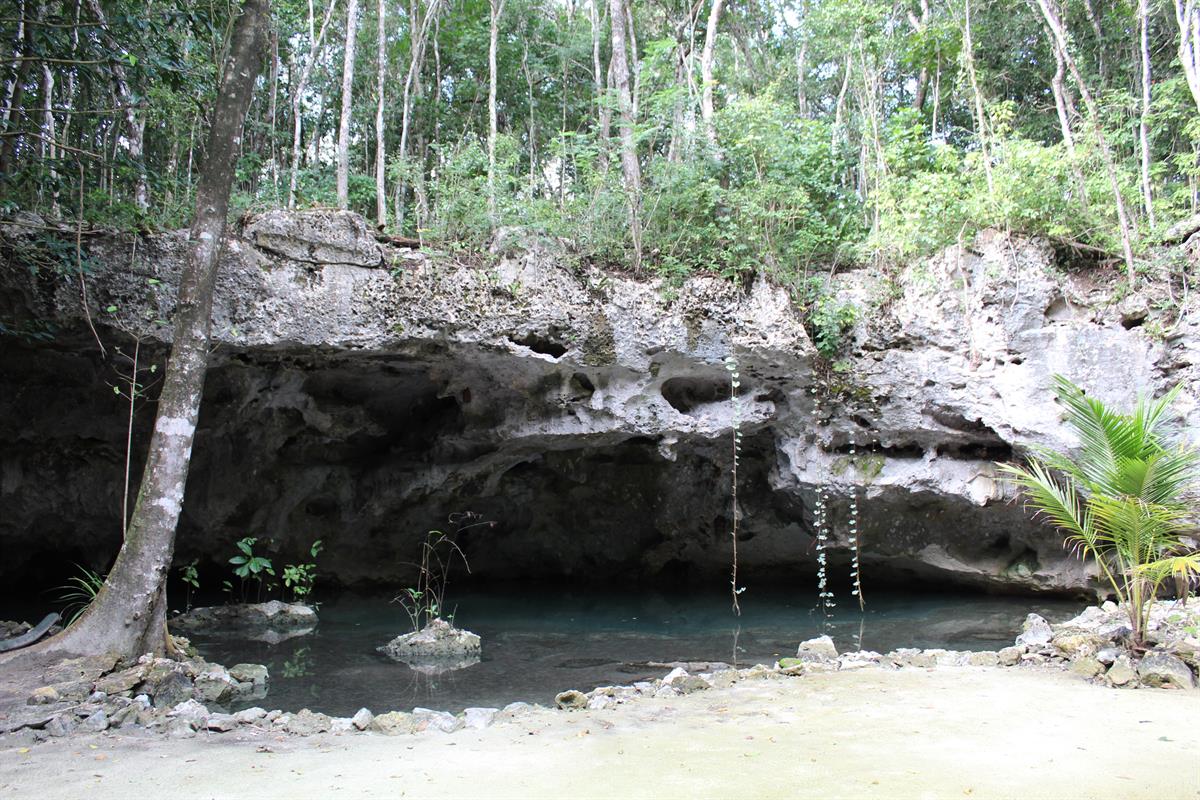 Cenote Piedra — uno de los nueve cenotes dentro de Selvadentro Tulum